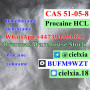signal-at-cielxia18-fast-delivery-procaine-cas-59-46-1cas-94-09-7-benzocaine-small-6