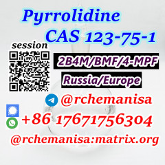 Tele@rchemanisa Pyrrolidine CAS 123-75-1 BMF/BK4/4-MPF Russia/Europe/Kazakhstan Hot Selling