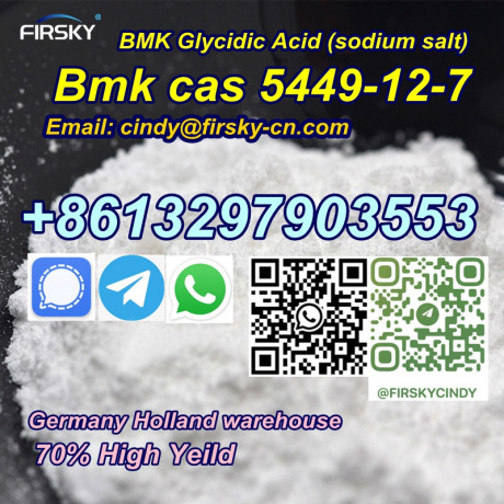 netherlands-uk-germany-warehouse-bmk-glycidic-acid-sodium-salt-bmk-powder-cas-5449-12-7-big-3