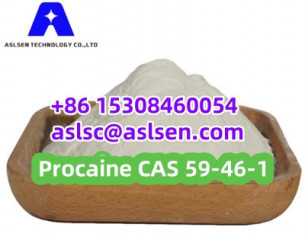 Procaine Powder CAS 59-46-1 Local Anesthesia with Stock APIs