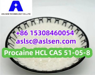 Procaine HCL Powder CAS 51-05-8 Local Anesthesia with Stock APIs