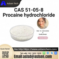 Procaine hydrochloride CAS 51-05-8