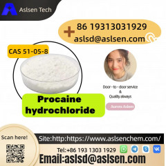 Popular Global Quality Procaine hydrochloride CAS 51-05-