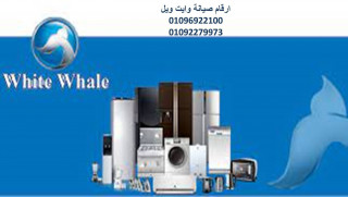 الخط الساخن اصلاح وايت ويل بالزقازيق 01096922100